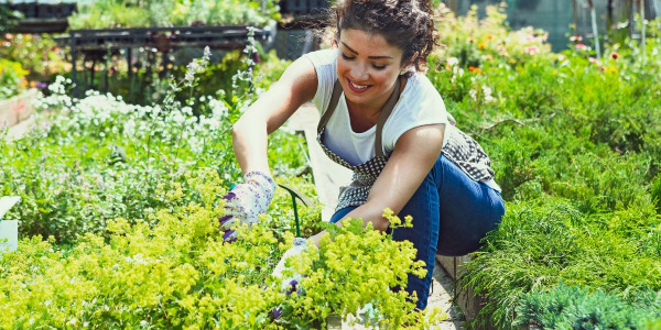Comment entretenir votre tablier de jardin : des astuces simples pour garder votre tablier en bon état